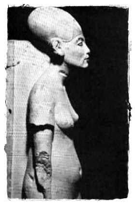 Ekhnaton felesge, Nofertiti - jellegzetes hossz koponyval